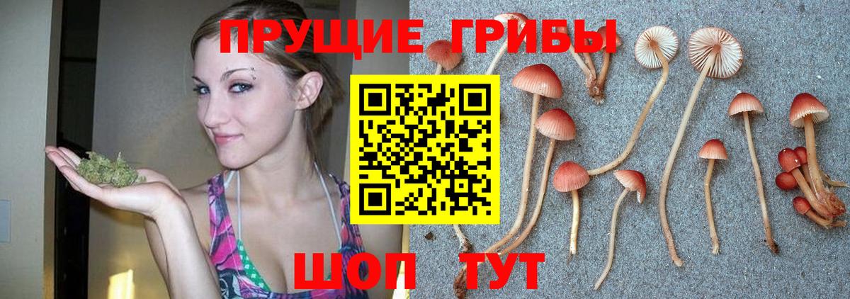 Галлюциногенные грибы прущие грибы  Вход с VPN  Прокопьевск  Псилоцибиновые грибы ЛСД 
