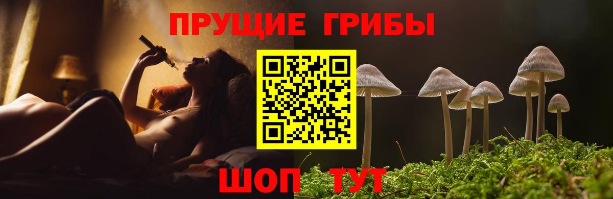 Псилоцибиновые грибы мухоморы Прокопьевск